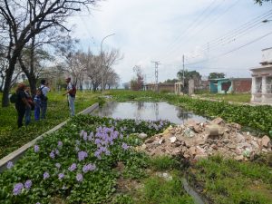 editorial 5 Por que contaminamos nuestras aguas 2