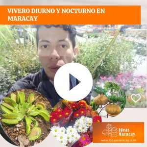 ivero diurno y nocturno en Maracay