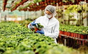 Importancia de la Biotecnología para Maracay